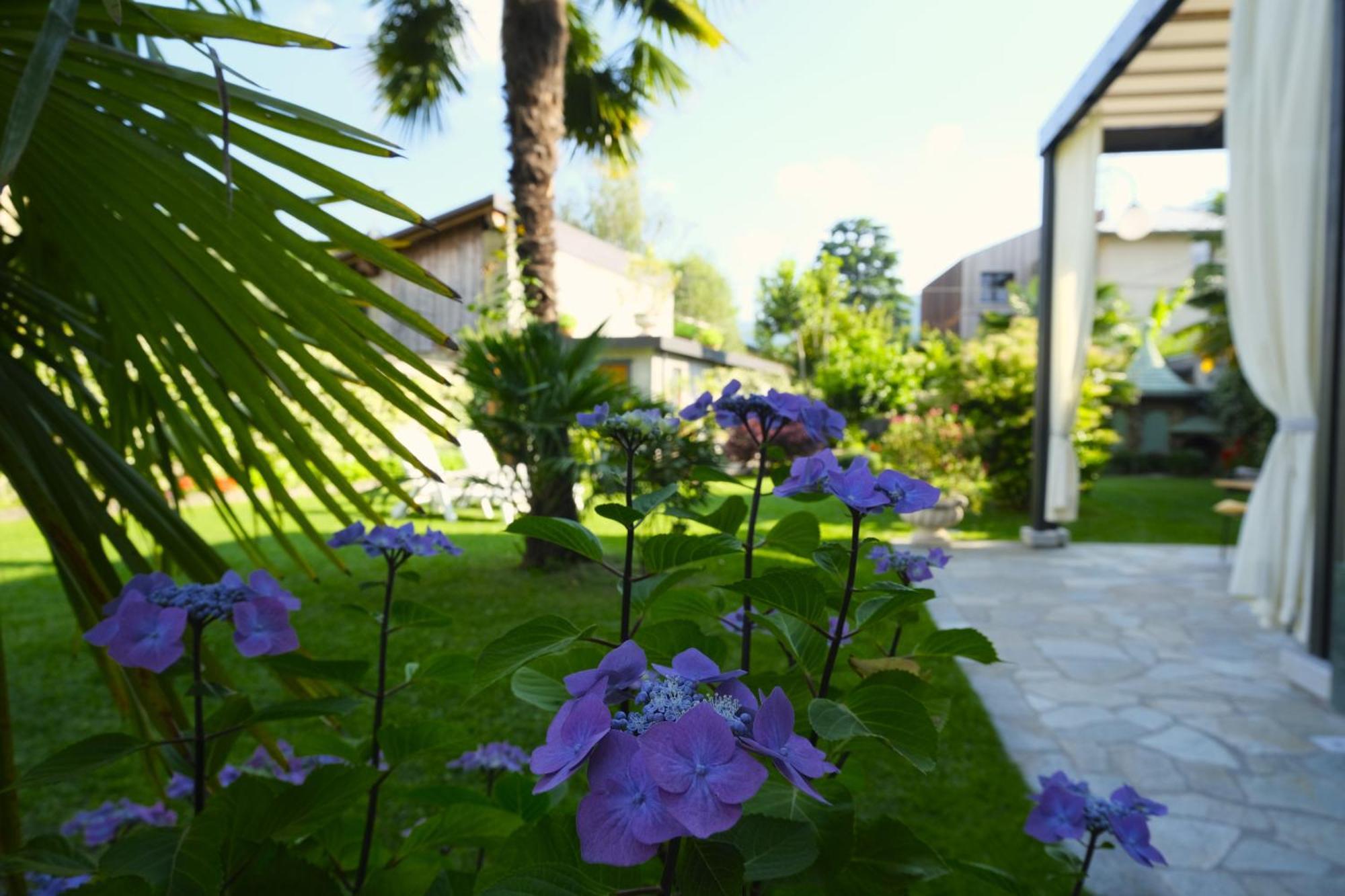 Residenza Laurum Mandello del Lario Extérieur photo